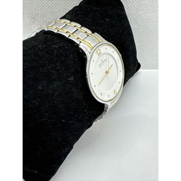 Skagen SKW2255 Women\'s Two-Tone Stainless Steel Analog Dial Quartz Watch JNA446